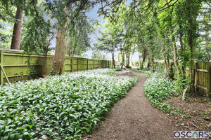 Photo 33- click for photo gallery